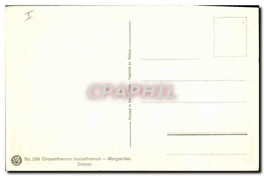 Chrysanthemum leucanthemum — Marguerites — In der Schweiz gedruckt, n° 299 - Rückseite