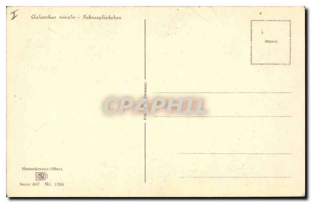 Glananthus nivalis — Schneeglöckchen — Photochromie-Offset, serie 657, 1904 - Achterkant