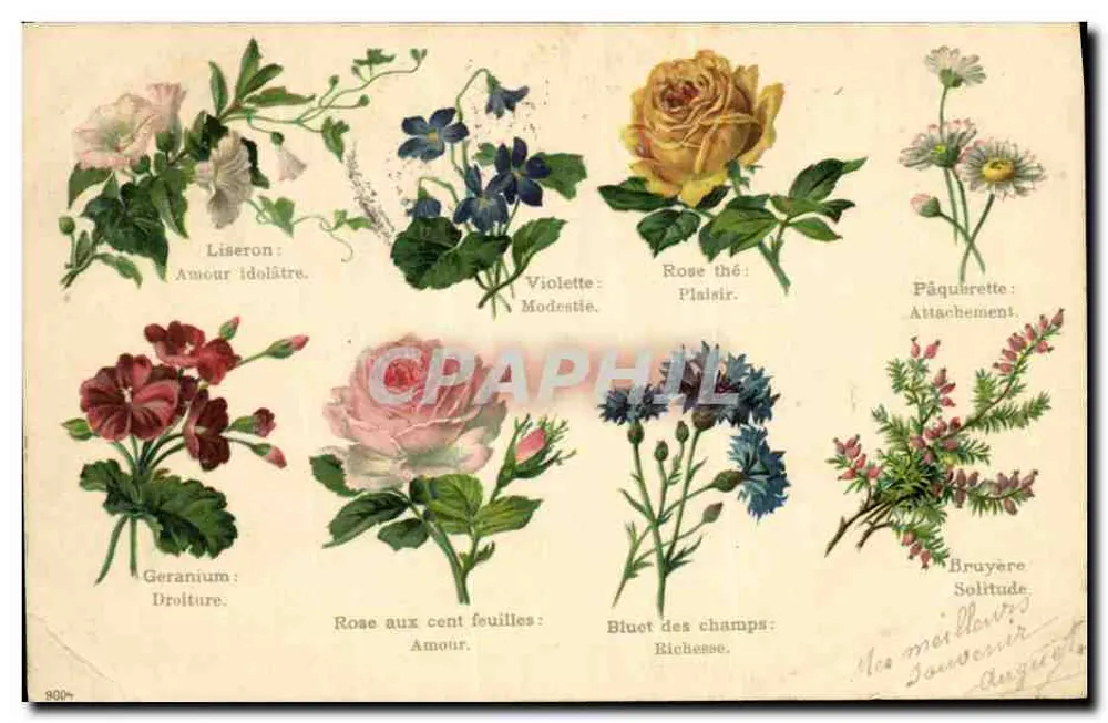 Bloemen en hun symbolen — n° 800 - Voorkant