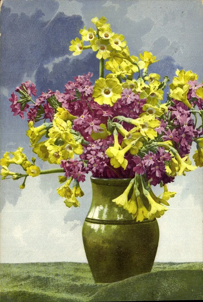 Arranjo de primeiras flores amarelas e púrpuras — Photochromie Série 505, No. 755 — Lucie, França - Frente