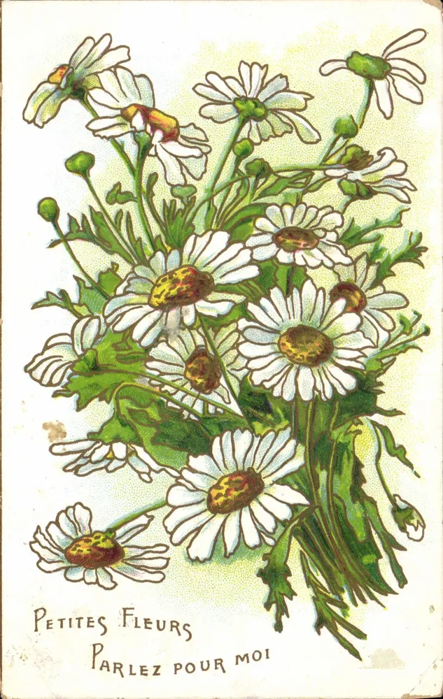 Pequenas Flores — Fale por mim — J.C. Paris-N°602 - Frente