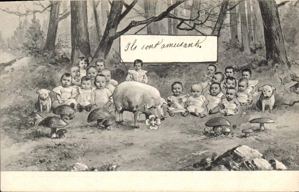 Babys und Tiere im Wald — Sie sind amüsant. — B.K.W.I. Nr. 2529/4 - Vorderseite