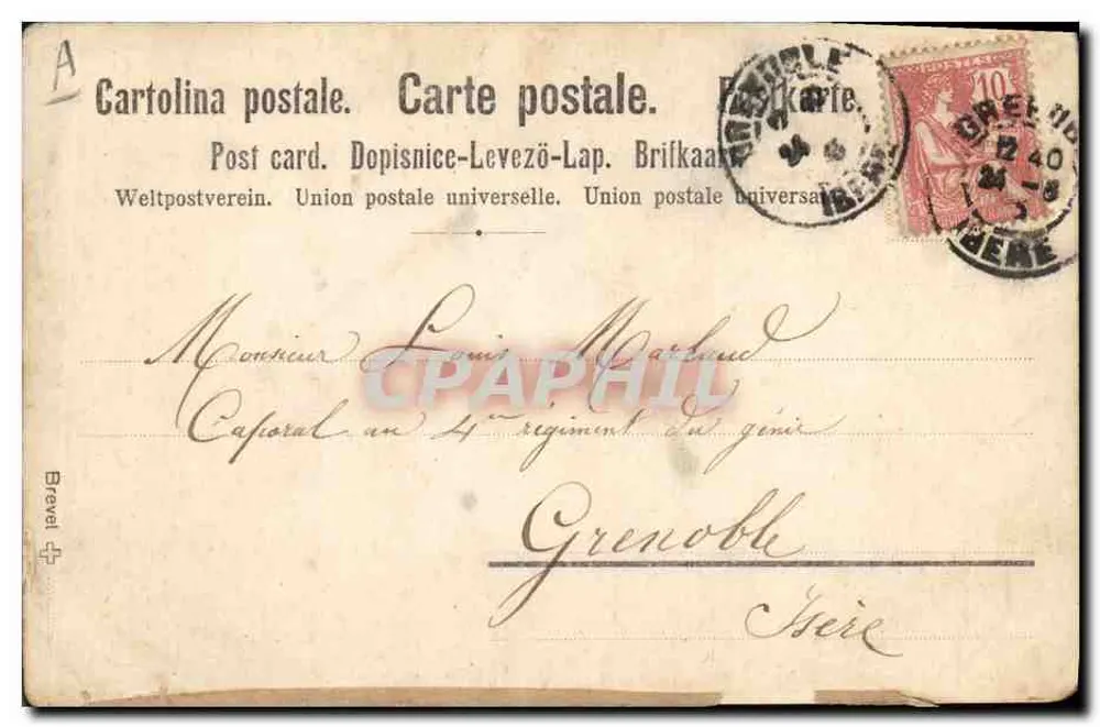 Anémone. Confiance illimitée — bouquet de fleurs séchées — éditeur Brevet, série No. 4 - Verso