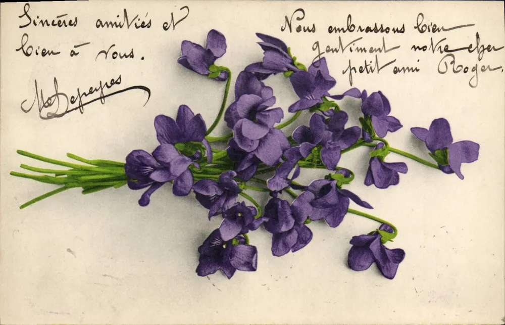 Violetas — buquê — editor desconhecido, número de série não visível - Frente