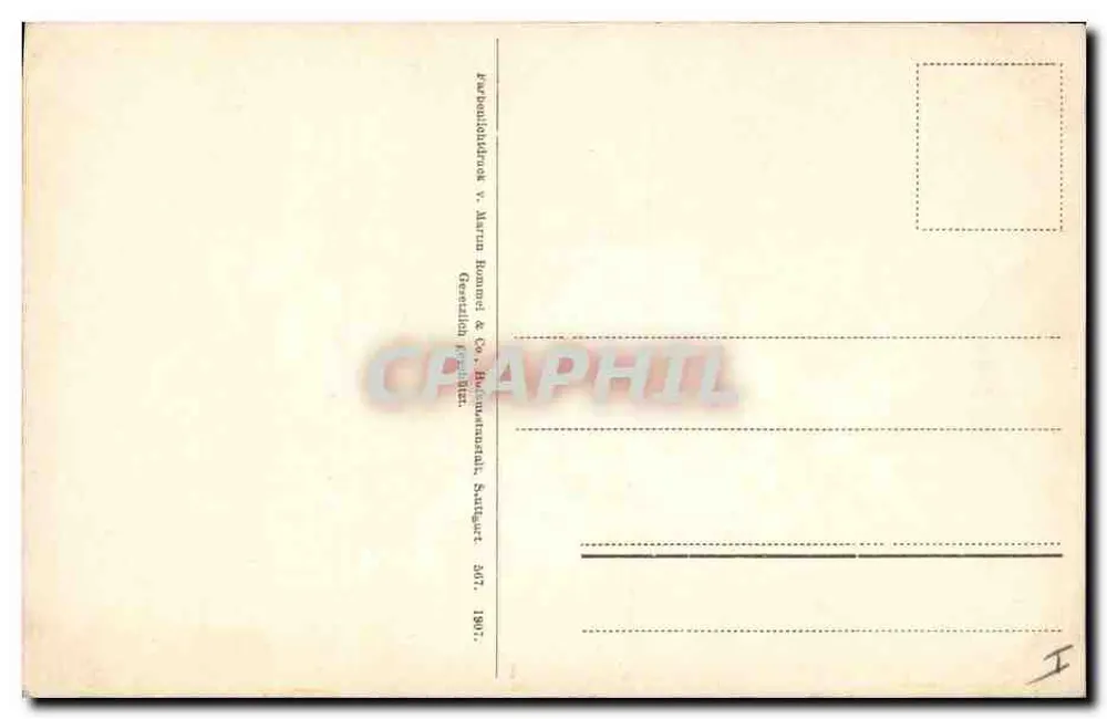 Bloemen van de Nérida — botanische illustratie — uitgever: Martra Rommel & Co, Sautgauet - Achterkant