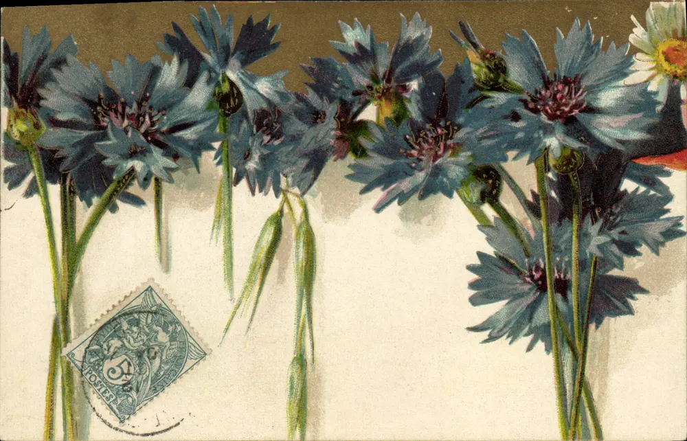 Bloemen van poppies — uitgave K. F. Éditeurs, Parijs, Serie 631 - Voorkant