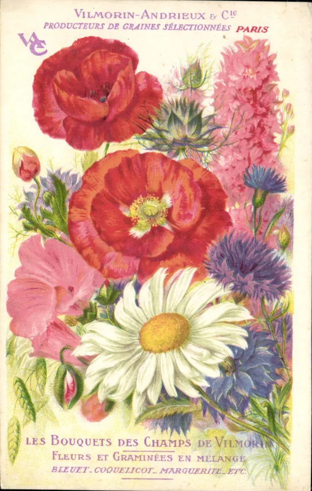 Bouquet de los Campos de Vilmorin — Flores y Gramíneas en Mezcla — Vilmorin-Andrieux & Cie, París - Anverso