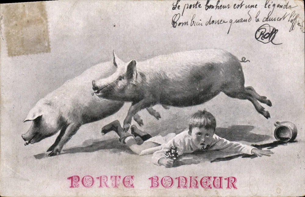 Zwei Schweine — humorvolle Szene mit Kind — Verlag Roll, n° 138 - Vorderseite