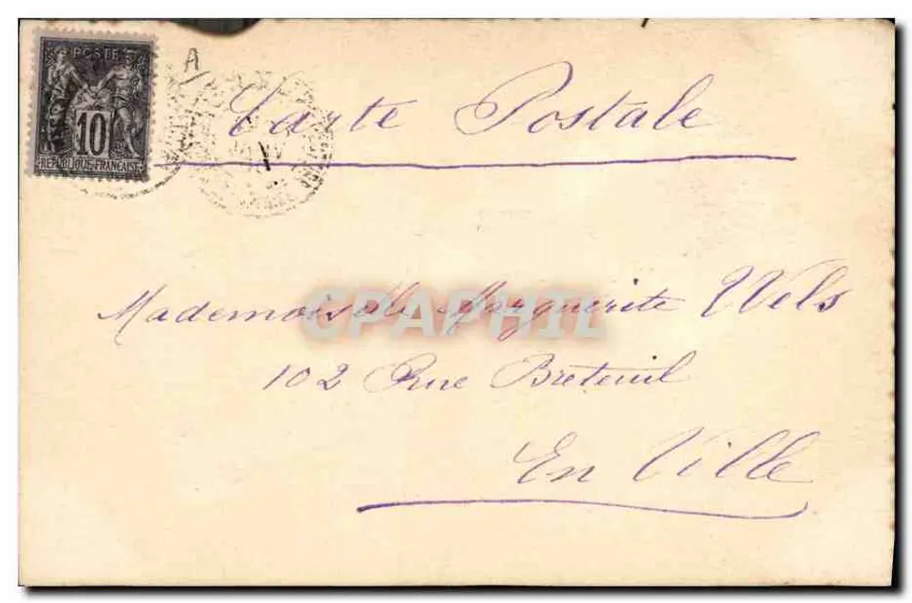 Três porcos e folhas de trêfola — carta postal ilustrada — editada por C. P. A. (n° 103) - Verso