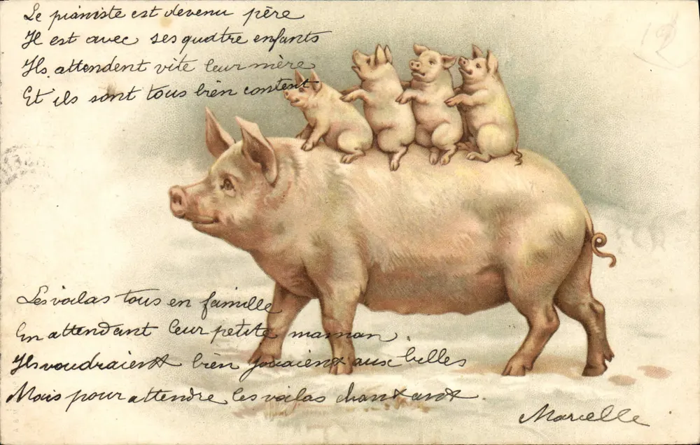 Ojciec świński z czterema dziećmi — humorystyczna ilustracja — wydawca nieznany - Awers