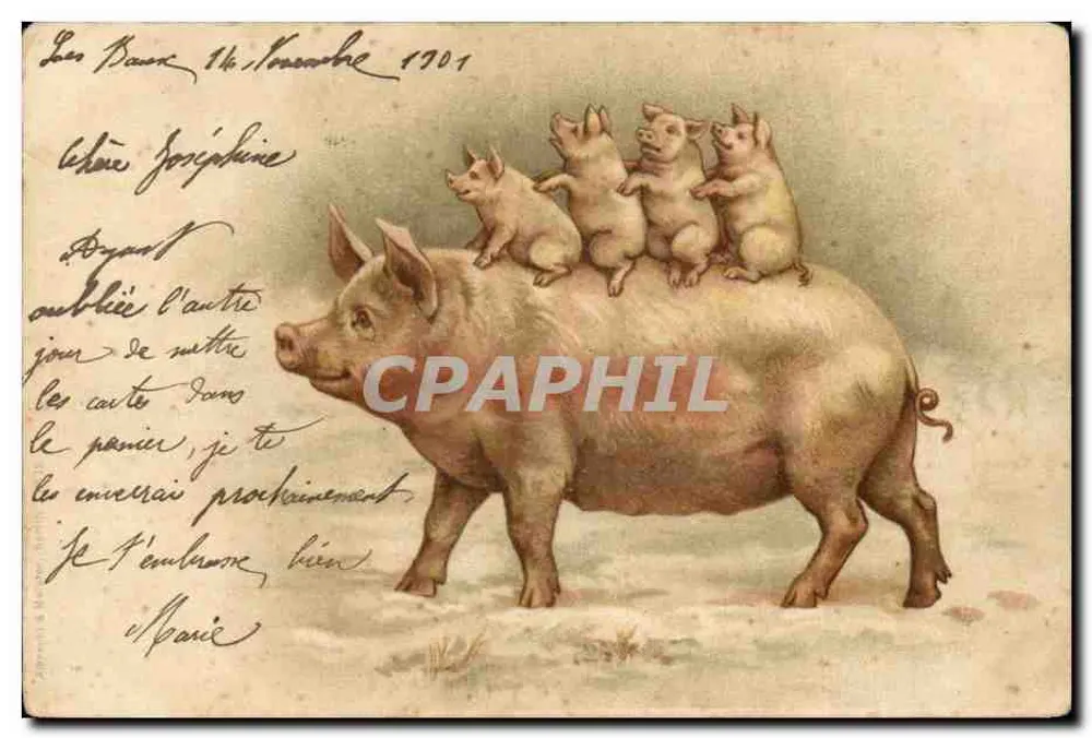 Pigé avec ses petits — illustration — éditeur non visible - Awers