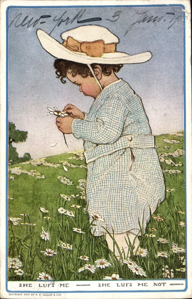 Kind im Feld der Margeriten — 'She Lufs Me Not' — P. F. Collier & Son, Seriennummer nicht sichtbar - Vorderseite