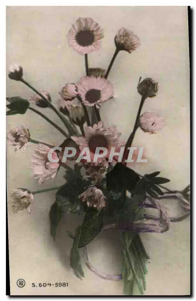 Arranjo de margaridas — n° S.604-5981 - Frente