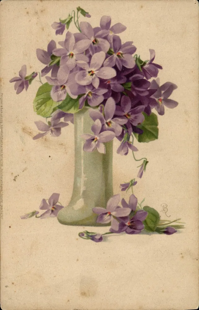 Violetas em um vaso — ilustração — Meijer & Boon, Amsterdam - Frente