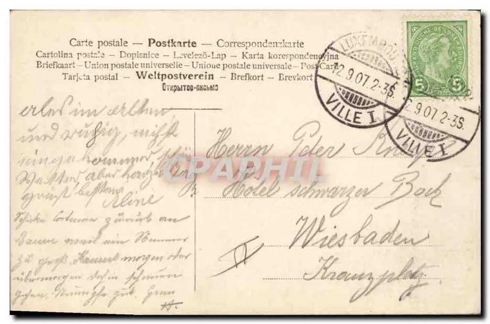 Portret Schopenhauera — seria B 203 — wydawca nieznany - Rewers