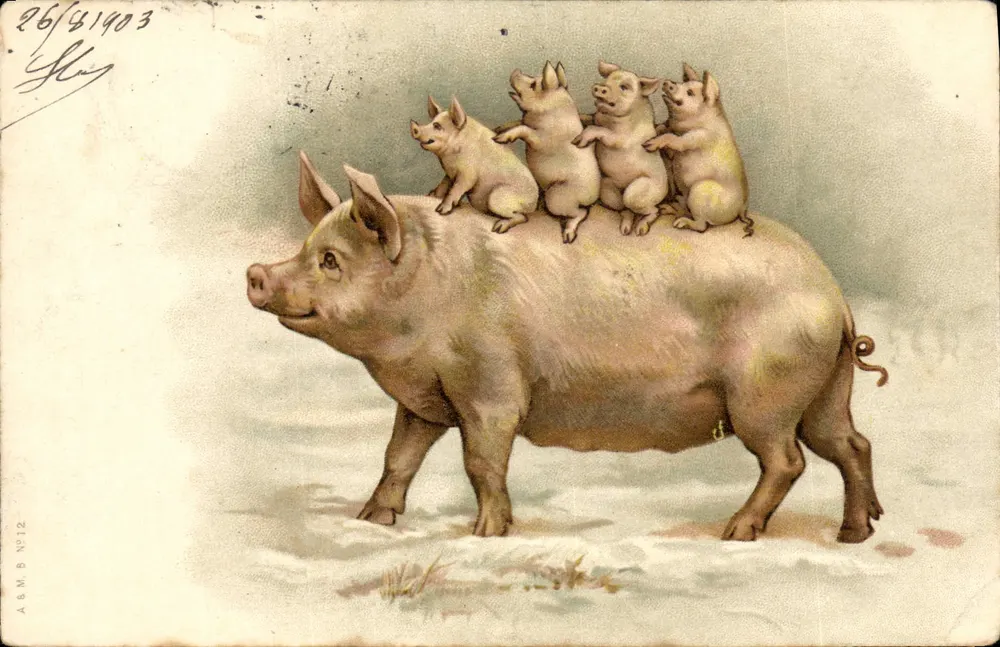 Pig with four piglets — illustration — A.B.M. B N°12 - Frente
