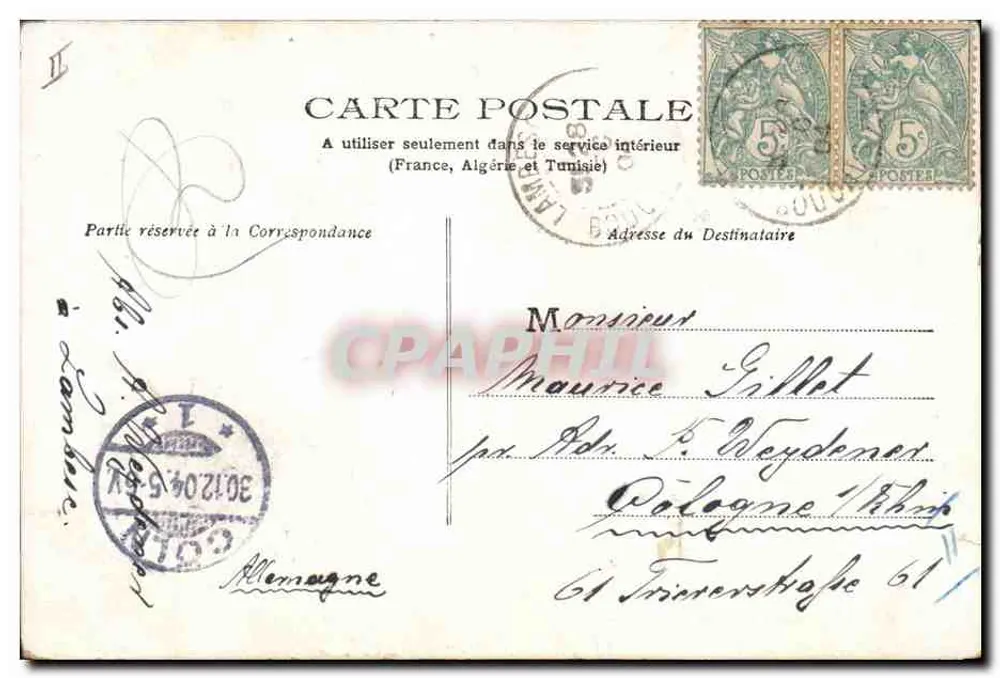 Criança com porco — Feliz Ano Novo 1905 — A. Weydener - Verso