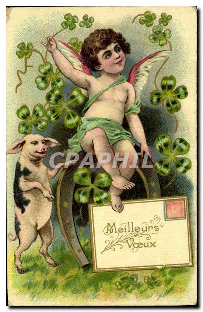 Caçador de trevo — anjo e porco — editor J.C. Paris - Frente