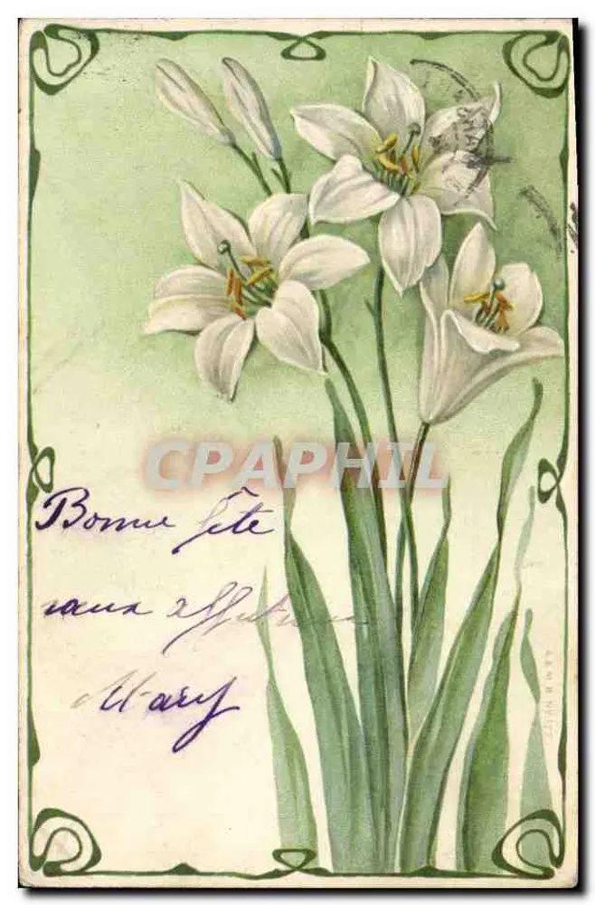 Lilas brancos — Carta postal de vœux — Editor não identificado - Frente