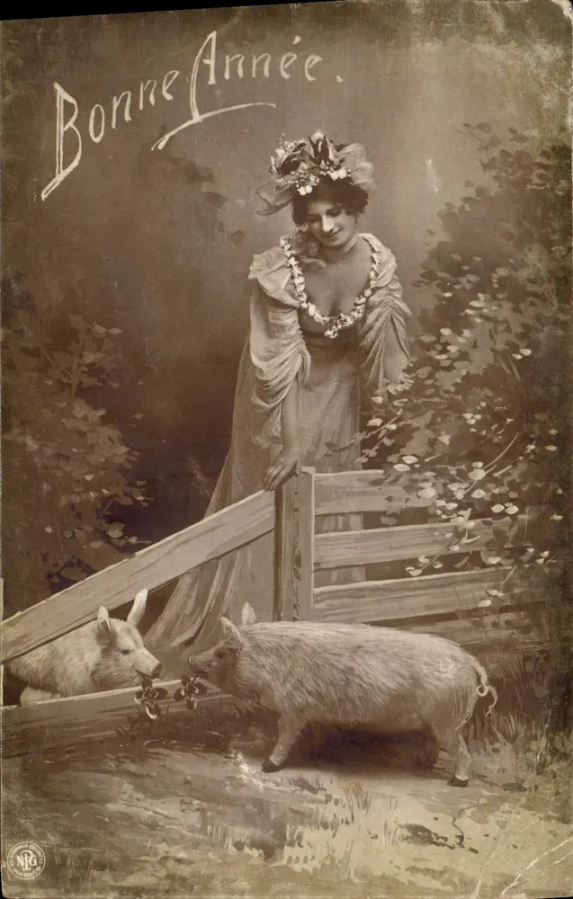Femme avec deux porcs — scène de campagne — éditeur NRG - Vorderseite