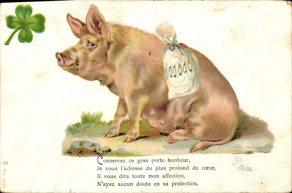 Porco porte-bonheur — carta postal ilustrada — No. 6621 - Frente
