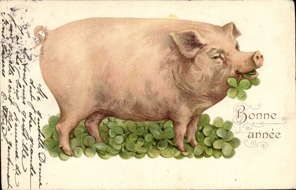 Porc — avec trèfle — Bonne année — éditeur non visible - Frente