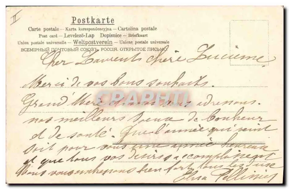 Arranjo de margaridas — ilustração — R. de Songe, A.M.S. N° 57 - Verso