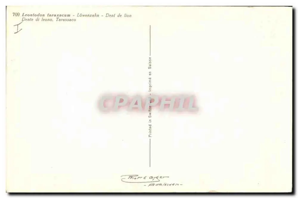 Dente di leone — varietà linguistiche — stampata in Svizzera - Verso