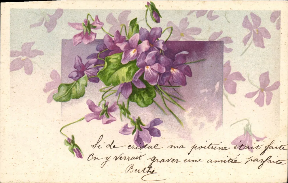 Violetas — carta postal com texto poético — editor não visível - Frente