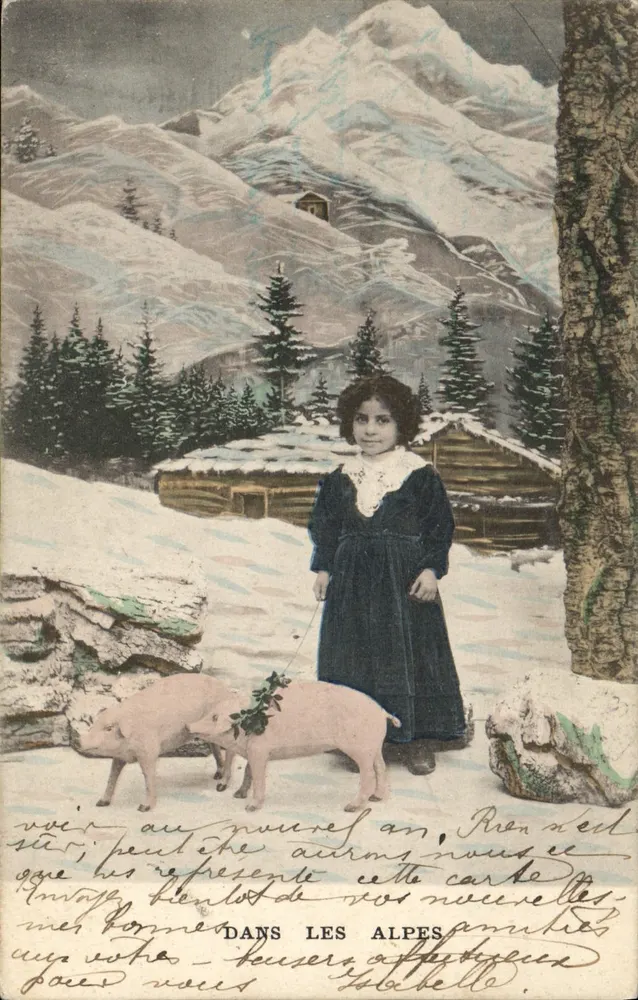 Menina com dois porcos — nas Alpes — editor não visível - Frente