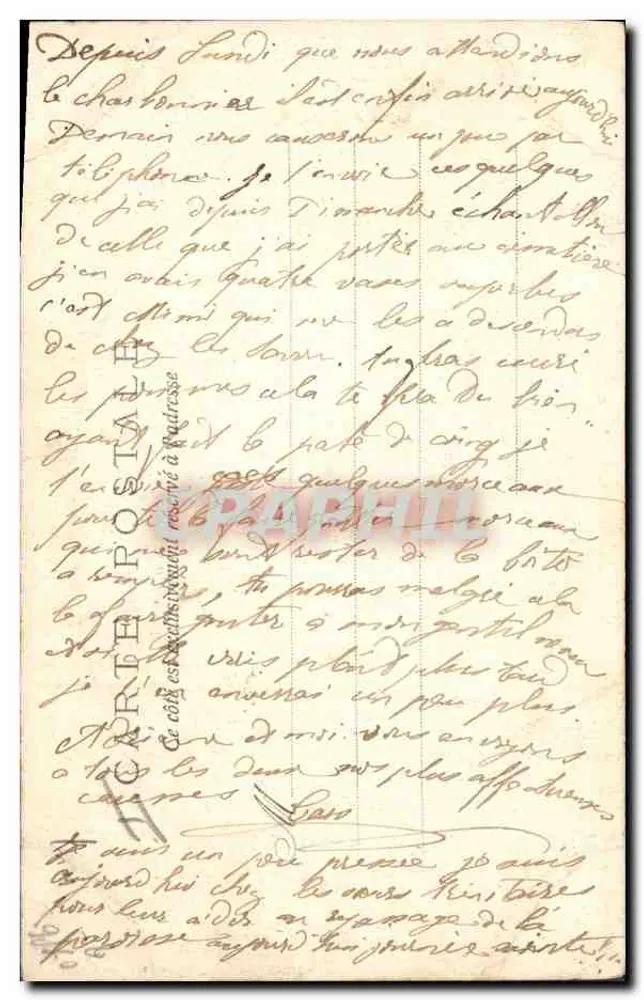 Waldweg — malerische Ansicht — unbekannter Verleger, Seriennummer 156 7- - Rückseite