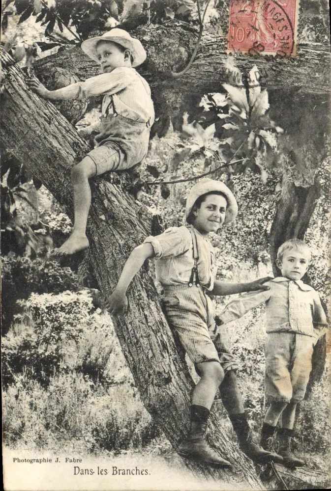 तीन बच्चे एक पेड़ में — फोटोग्राफी जे. फाब्रे — श्रृंखला संख्या अदृश्य - आगे