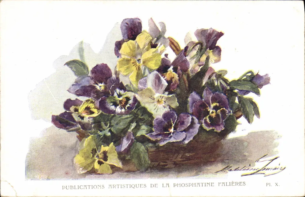 Bouquet de pensées — illustration à l'aquarelle — Publications Artistiques de la Phosphatine Falières, Pl. X, par Matton-Lamair - Vorderseite