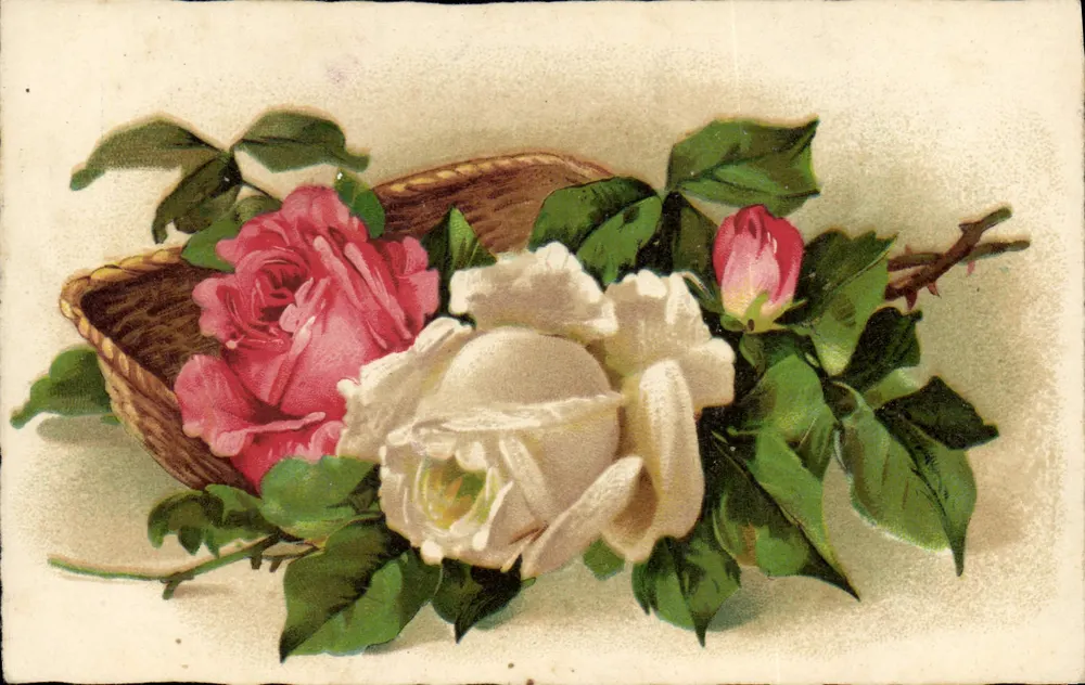 Rozenbundel — in een mandje — uitgever Éditions No. 18 - Voorkant