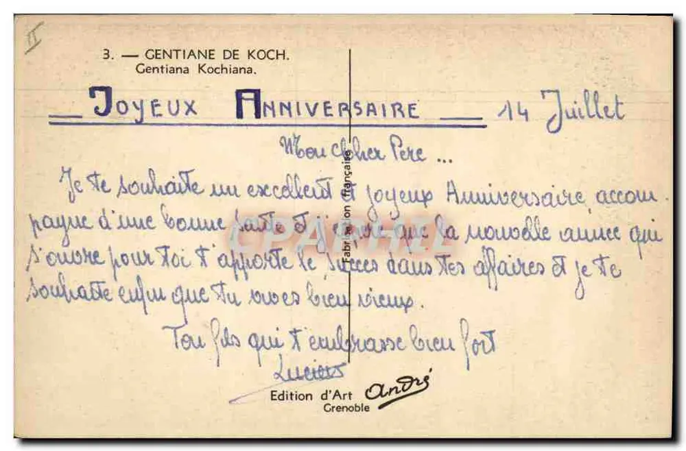 Gentiane de Koch — Gentiana Kochiana — Art Edition Grenoble - Rückseite