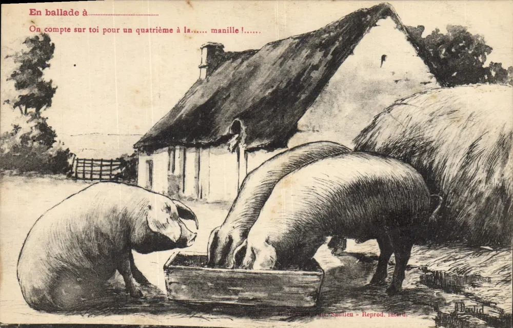 Pigés comendo na comedoria — ilustração humorística — Saullien - Reprod. Interd. - Frente