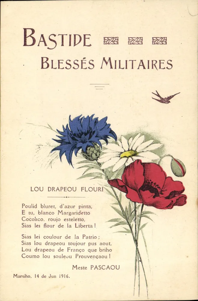 Bastide — Verwundete Soldaten — Meste Pascaou - Vorderseite