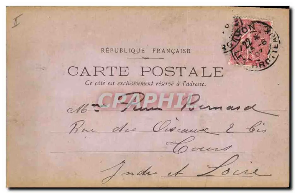Arranjo de violetas — ilustração aquarelada — datada 12 de junho de 1904 - Verso