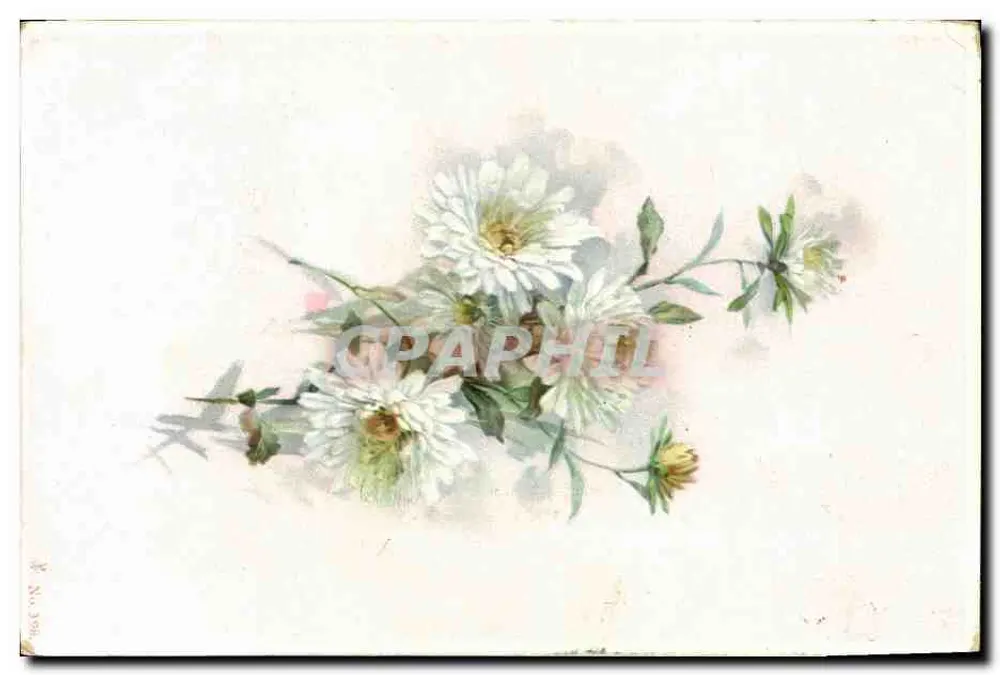 Bouquet van witte chrysantemen — illustratie — onbekende uitgever, n° 20 300 - Voorkant
