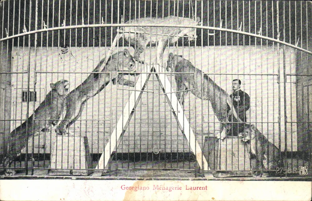 Laurent Menagerie — Löwen in Käfig — Georgiano Menagerie Laurent n°2756R - Vorderseite
