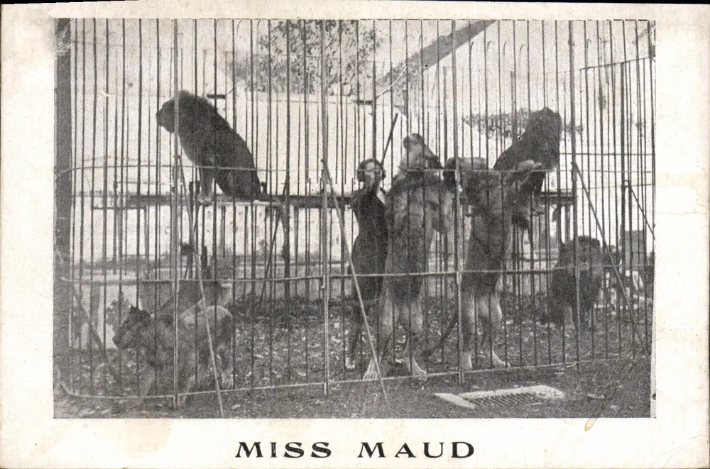 Miss Maud — Leeuwinnen in kooi — Onbekende uitgever, serie-nummer niet zichtbaar - Voorkant