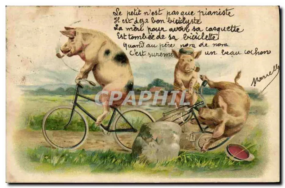 Pigistas — humor animais — Morrelly - Frente