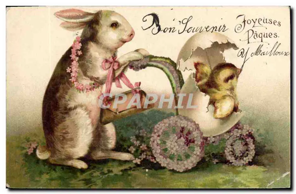 Coelho de Páscoa com pintinho — carta postal — editor não visível - Frente