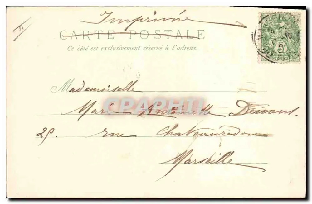 Cinco coelhos brancos ao redor de um repolho — Impressão Carte Postale - Verso