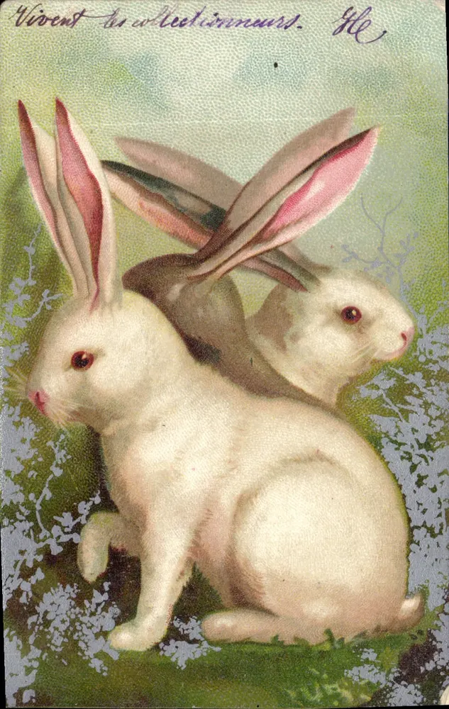 Dois coelhos brancos — ilustração colorida — editor HE, n°409 - Frente