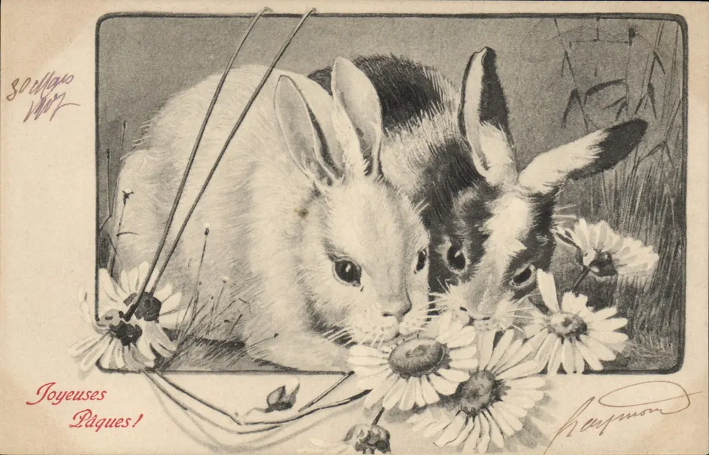 Dois coelhos entre margaridas — Sogliano 1907 — editor M. M. Vienne, n° 261 - Frente