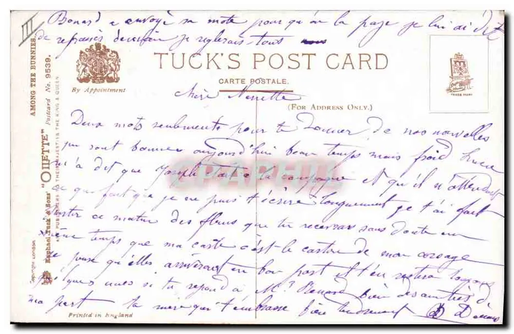 Pies i zające — scena zwierzęca — Tuck's Post Card, nr 9539 - Rewers
