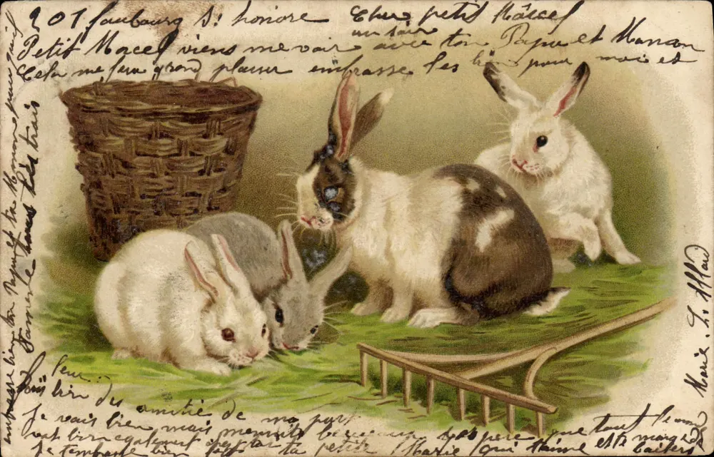 Rabbits — scène de jardin — éditeur : Maix & Cie, n° 103 - Frente