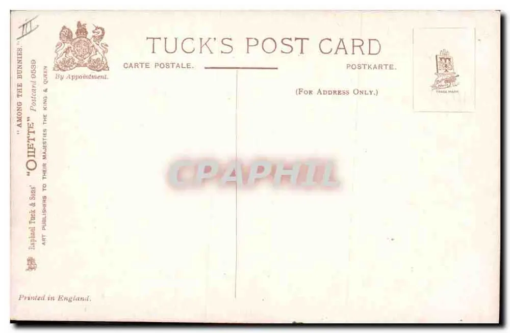 Cabras e pintainho — cena animal — Tuck's Post Card n°3839 - Verso