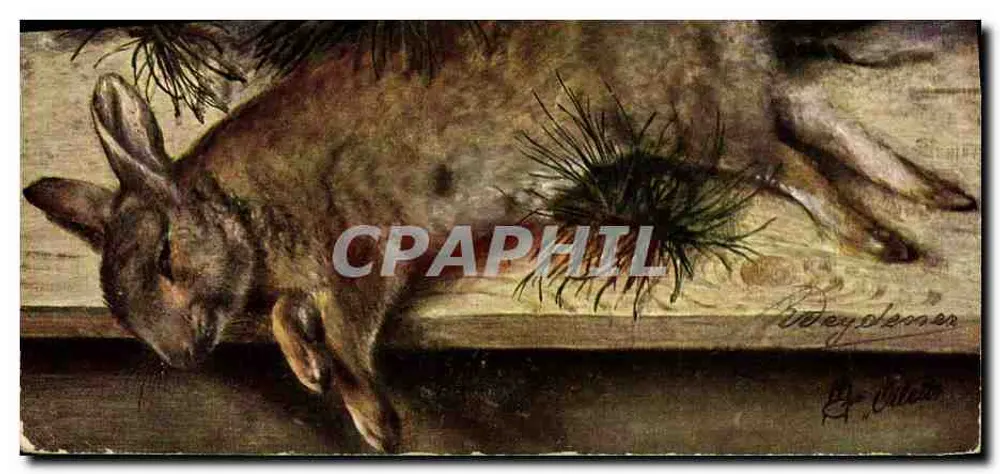 Coelho morto — desenho de Beydler — editor Tuck's Postkarte, Berlin - Frente